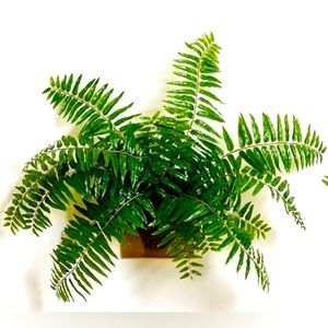 NEW! POTTERY BARN Faux Fern Wall Art plant! Amazingly unique decor!